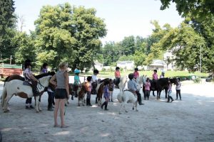 Séjour équitation,poneys, campagne pour enfants et ados