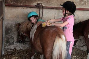 Séjour équitation,poneys, campagne pour enfants et ados
